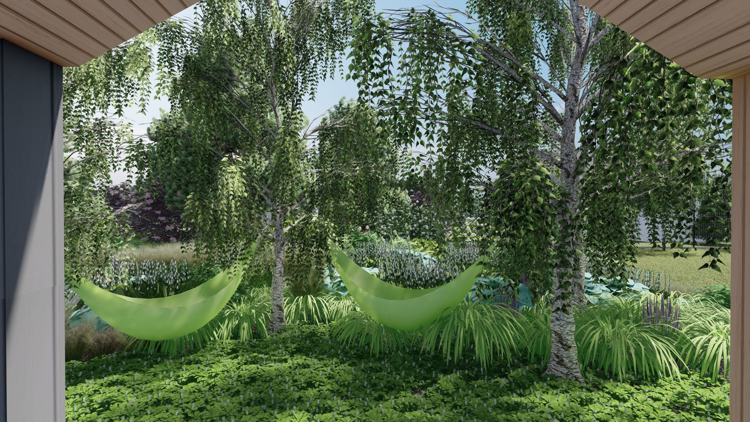 miejsce na hamaki pod brzozami