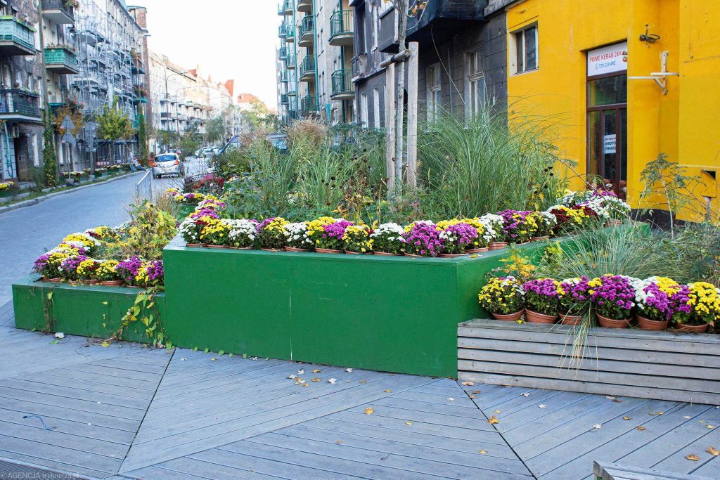 donice na ulicy Daszyńskiego we Wrocławiu - próba dodania zieleni do miasta