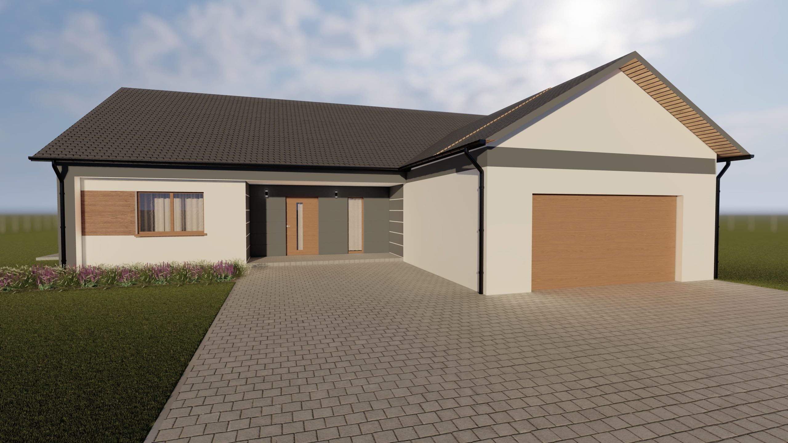 elewacja z elementami drewna, front