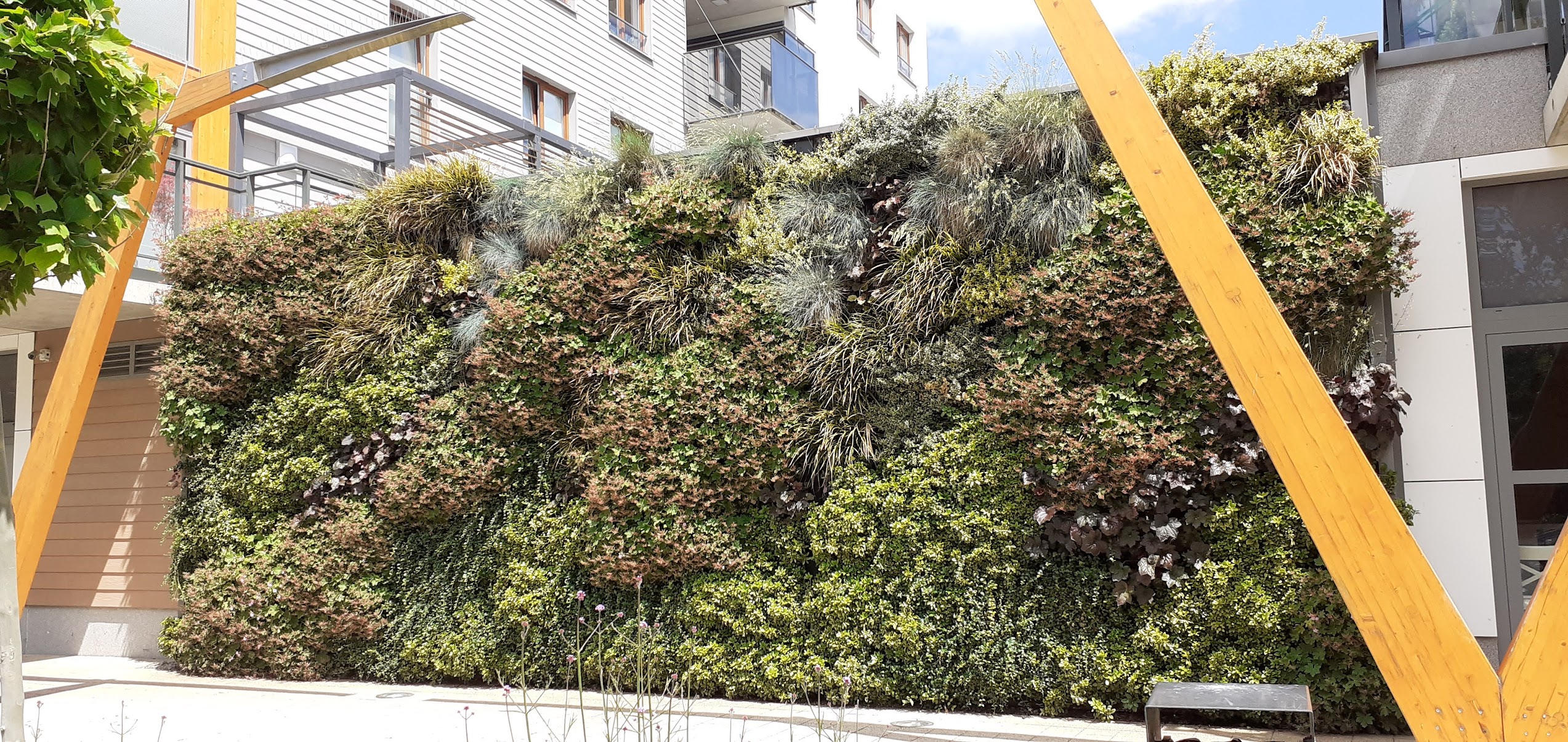 ogród wertykalny we Wrocławiu