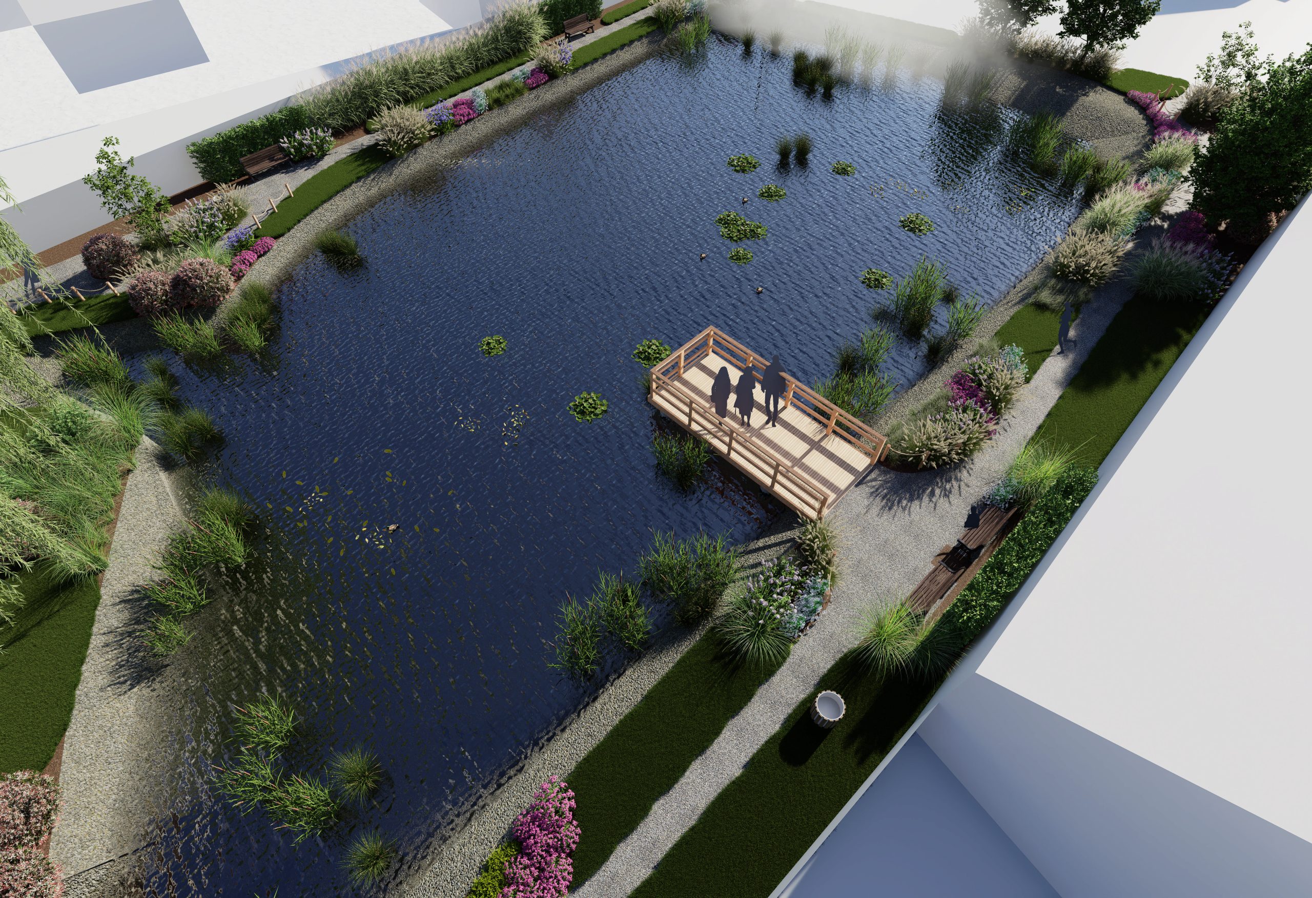 wiejski staw naturalny